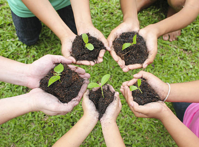 hands holding soil with plant