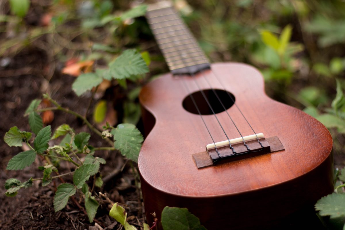 guitar in forest